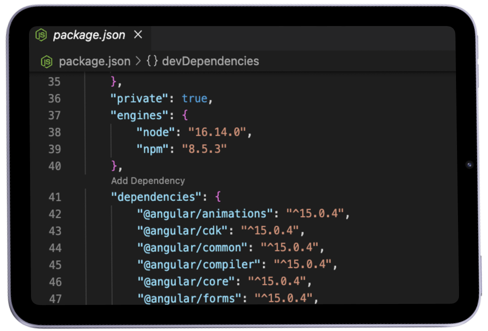 Screenshot of the package.json file with Angular dependencies on version 15